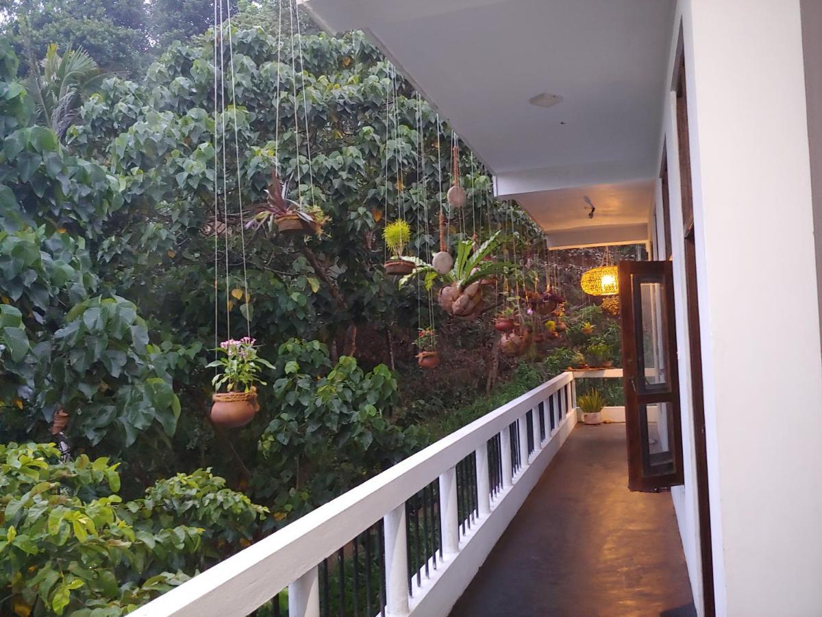 Daasa Guest Mirissa Hotel Екстериор снимка